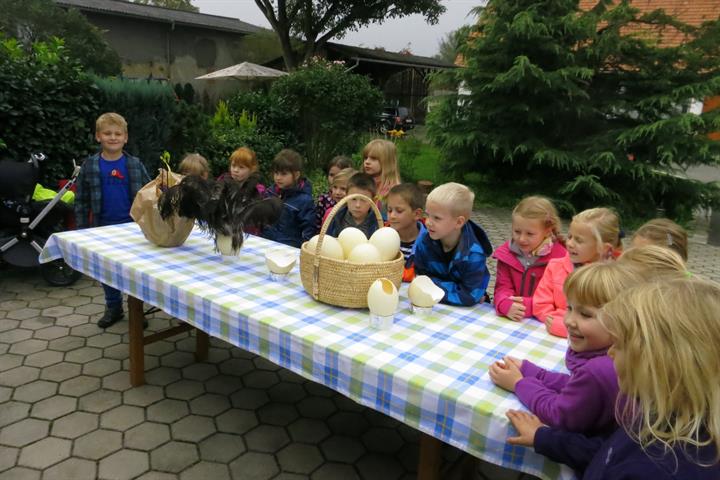Volksschule - Ein Besuch am Straußenhof